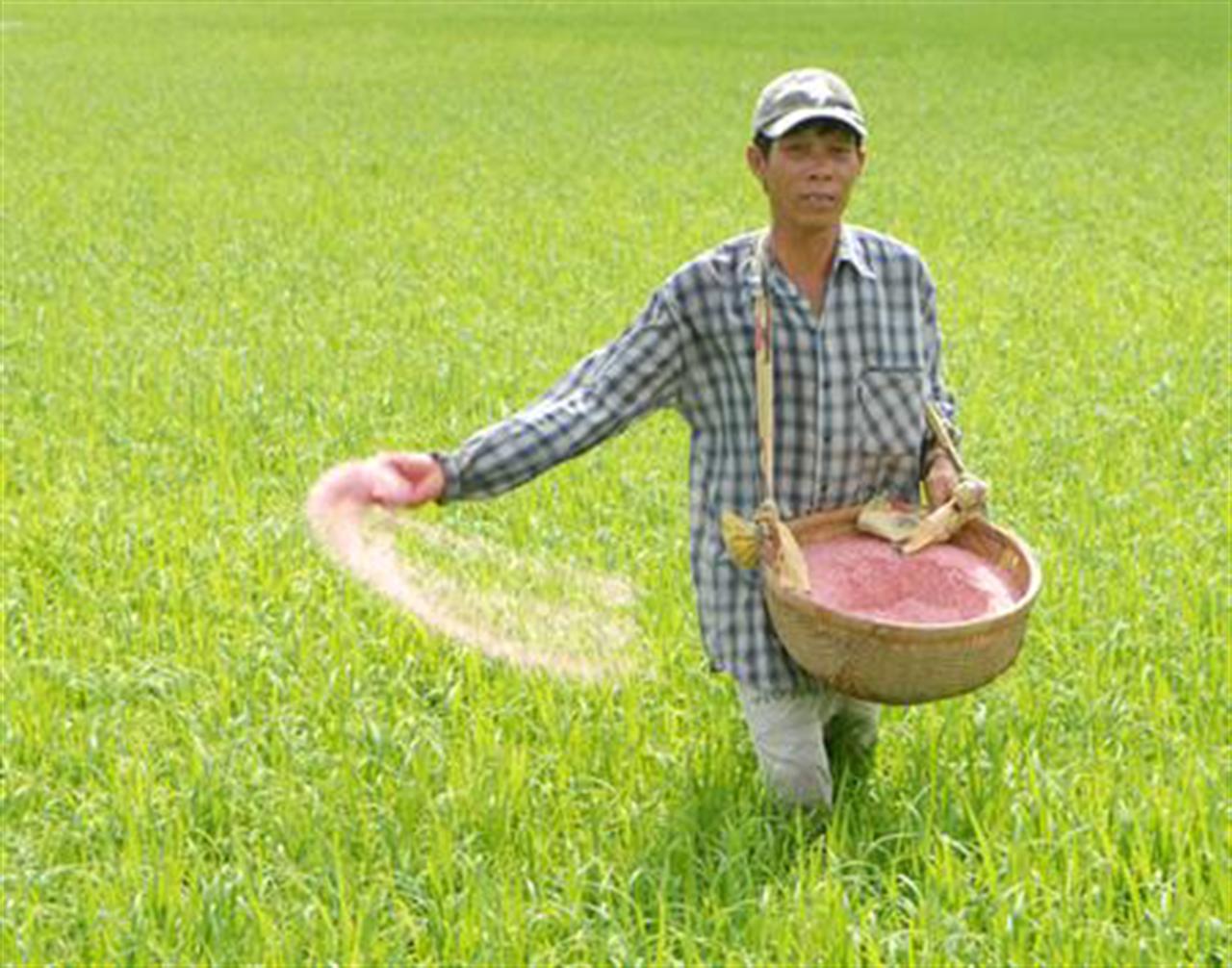 Doanh nghiệp phân bón hỗ trợ nông dân