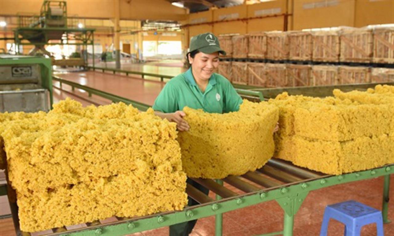 Netherlands increases rubber imports from Vietnamese market