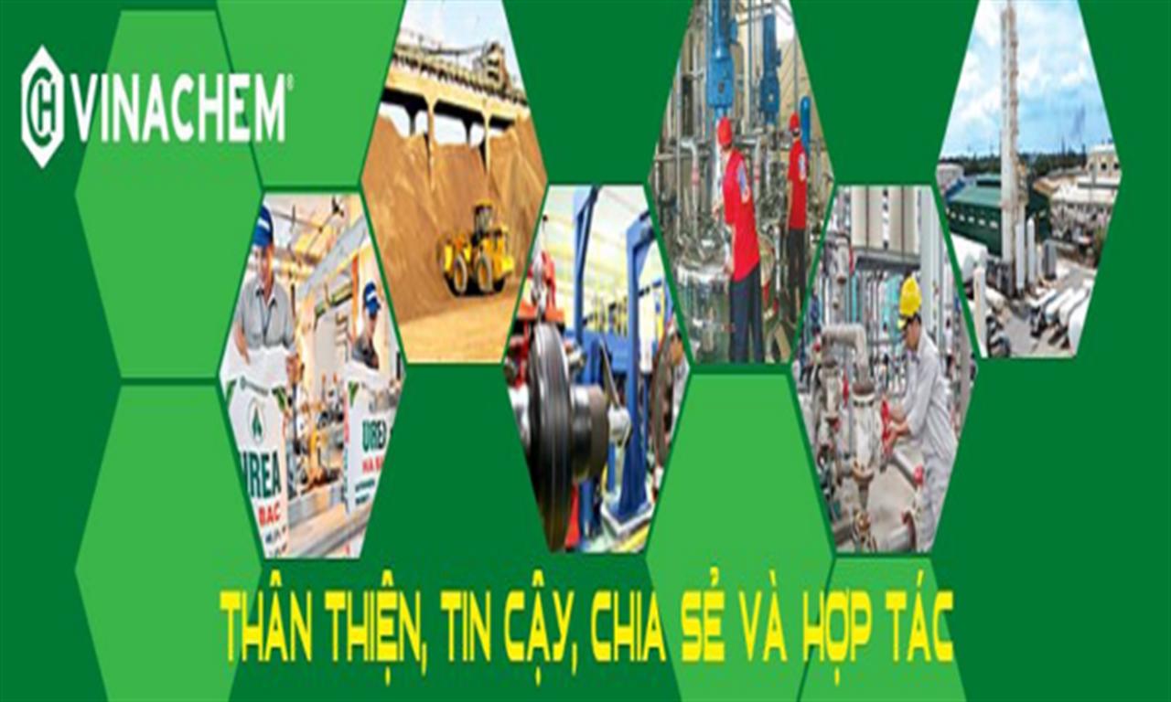 Báo cáo tài chính riêng Tập đoàn Hóa chất Việt Nam cho năm tài chính kết thúc ngày 31/12/2021 (Đã được kiểm toán)