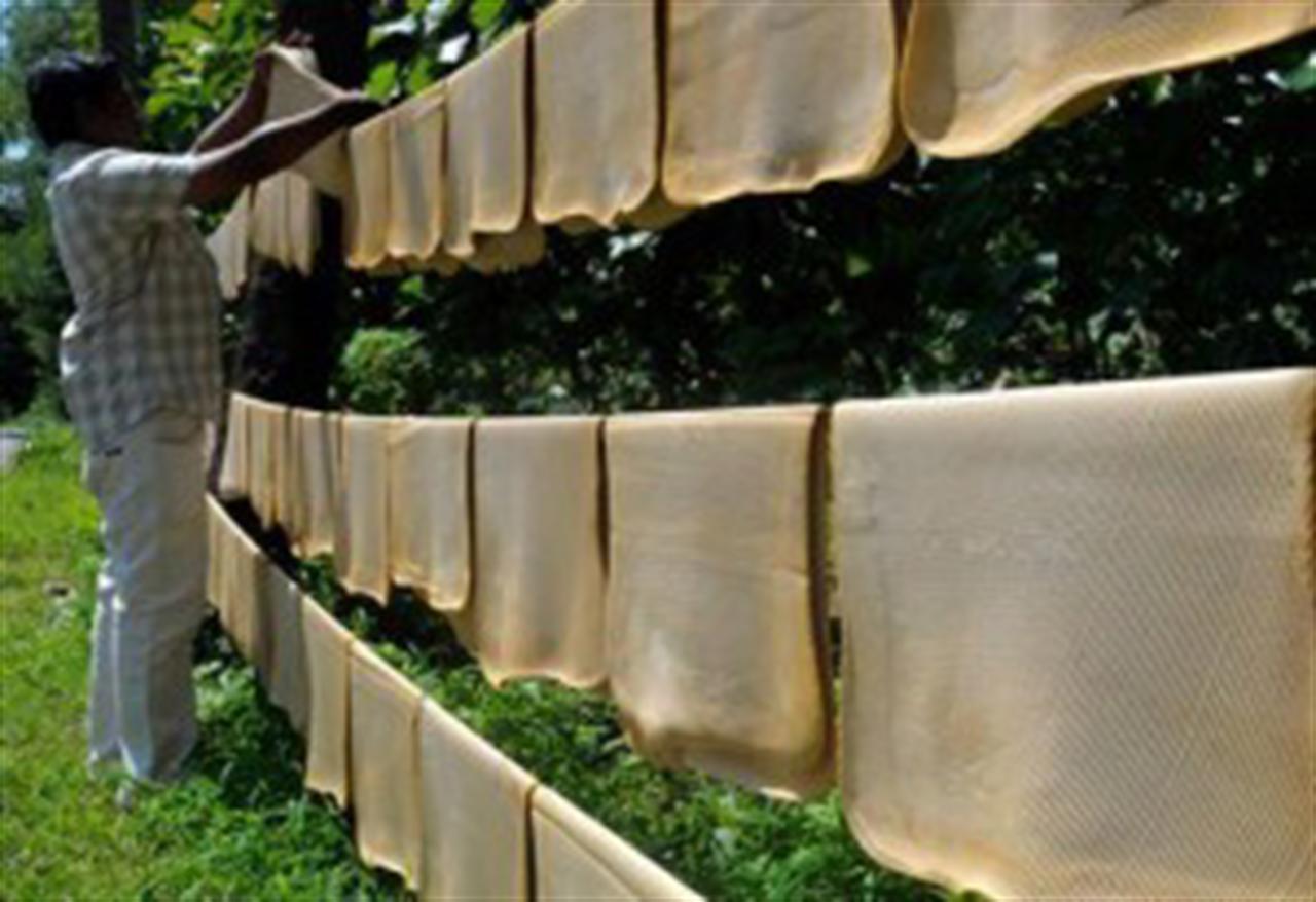 Cao su chấm dứt 6 phiên tăng liên tiếp