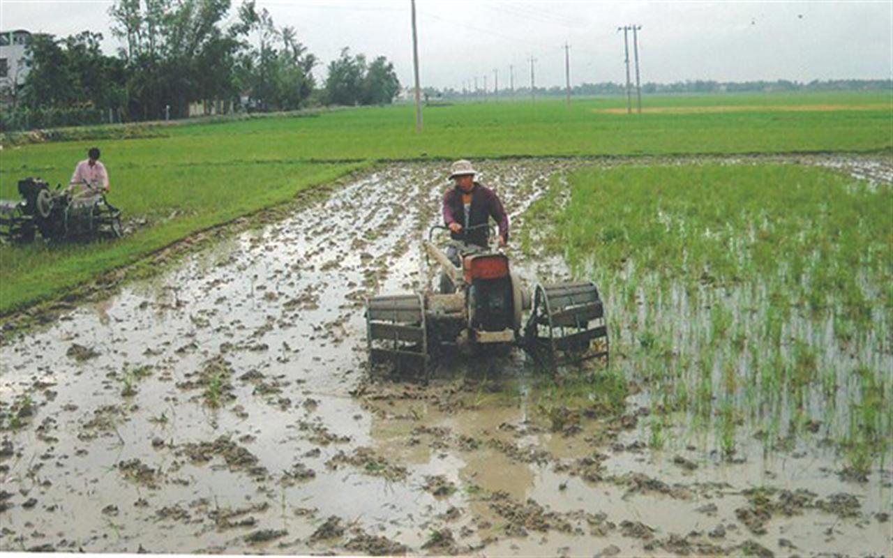 Dùng phân bón trên đất chua phèn