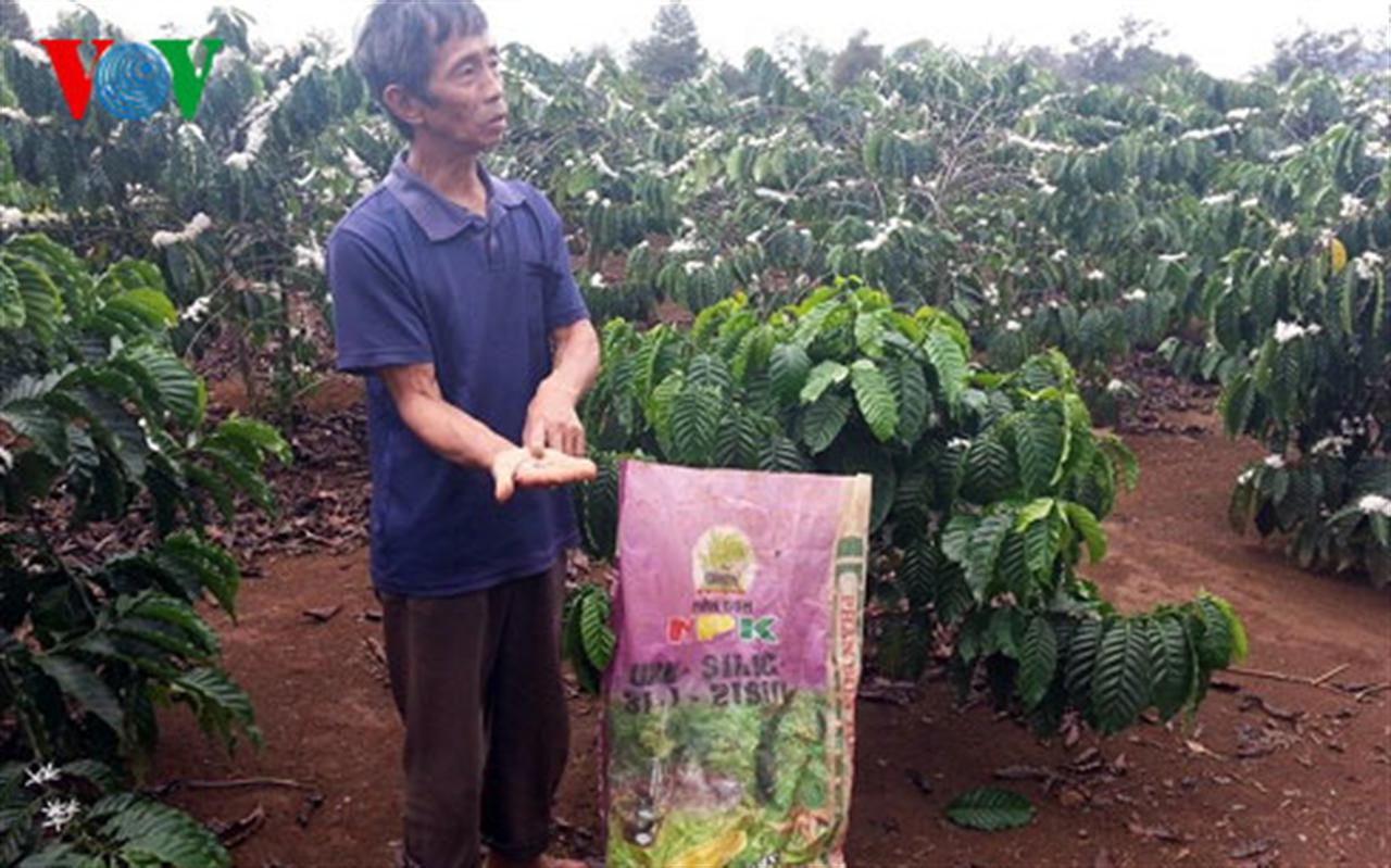 Phân bón giả 'tái xuất': Cách phân biệt phân bón thật - giả