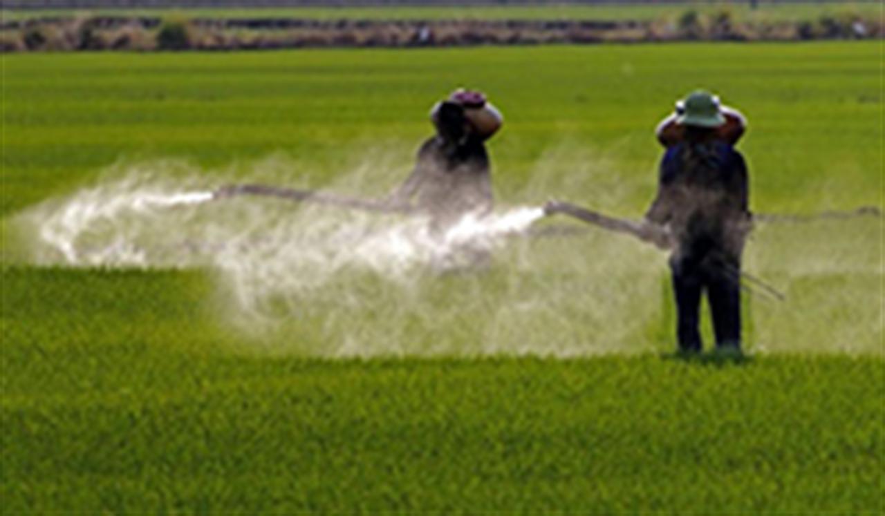 Bộ NNPTNT sẽ loại bỏ tiếp hàng loạt hoạt chất thuốc BVTV độc hại