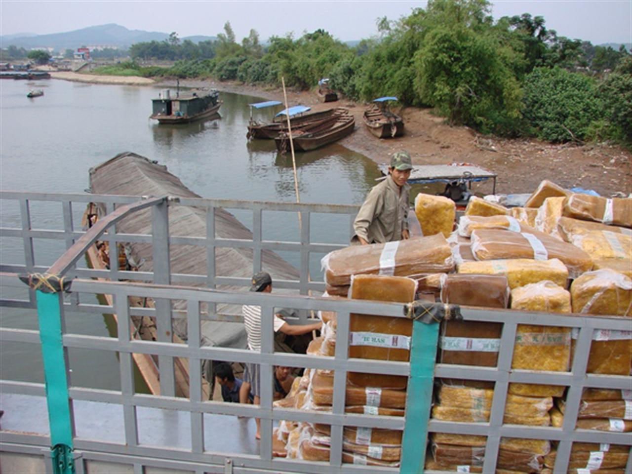 Giá cao su ổn định ở mức 1.500 USD/tấn