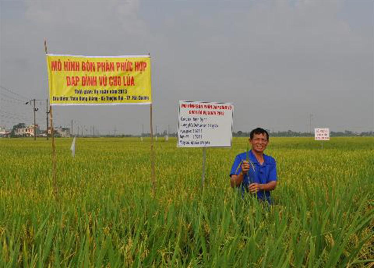 DAP Đình Vũ chuyển giao kỹ thuật bón phân