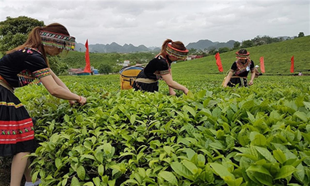 Giá ure, amoniac lại tăng kỷ lục có thể đẩy giá phân bón tiếp tục "phi mã"