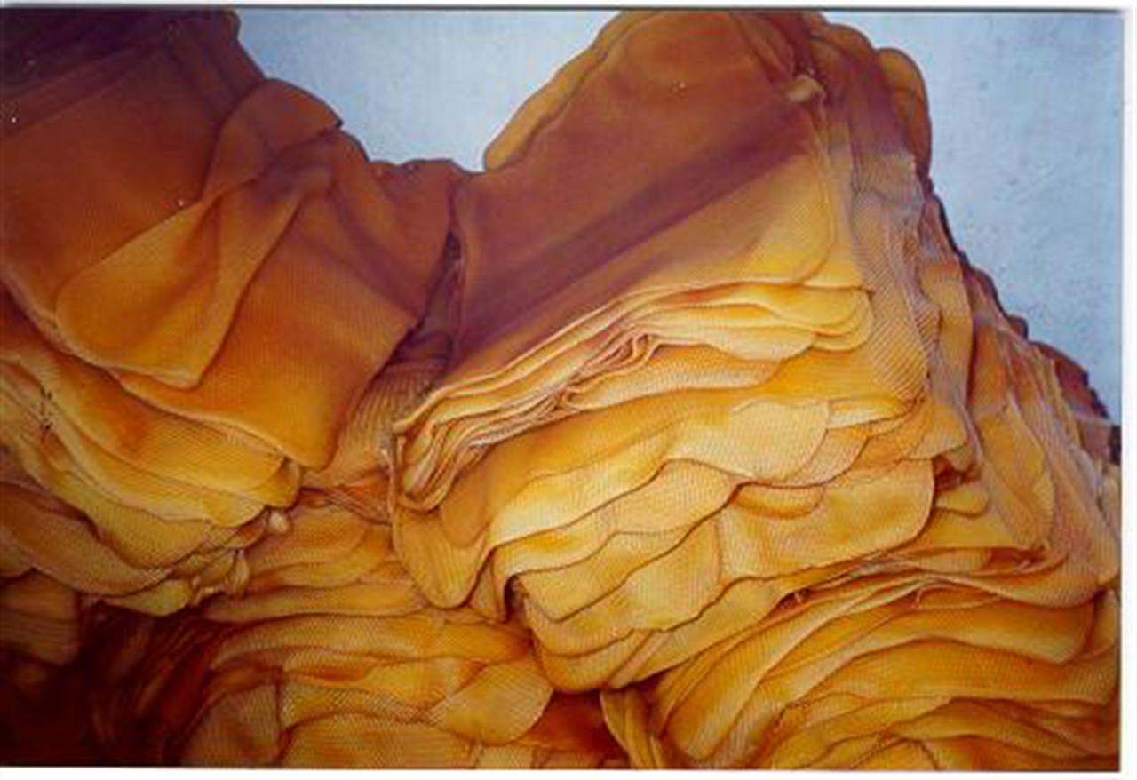 Giá cao su tăng mạnh nhất từ tháng 3 khi Thái Lan mua tạm trữ