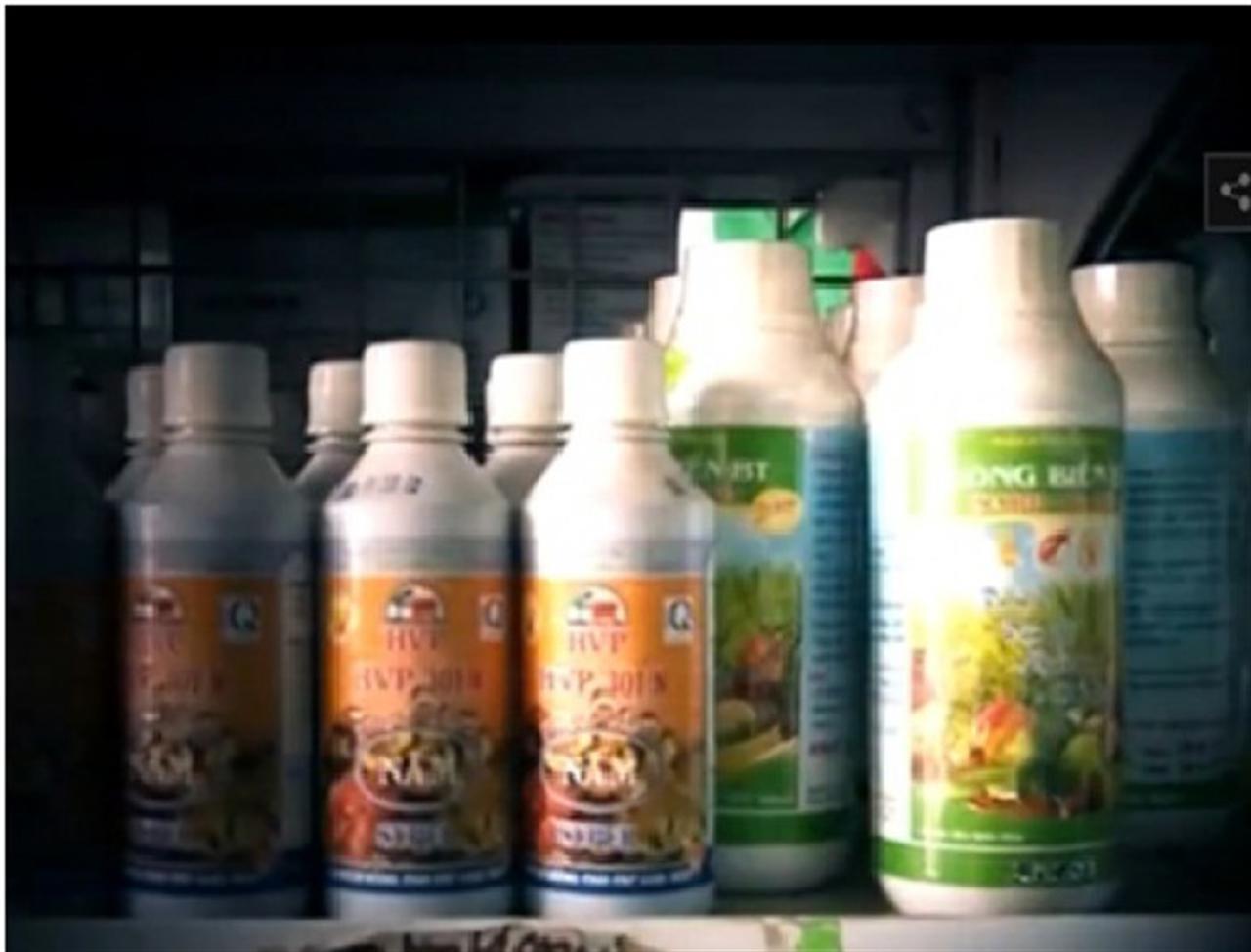 Nông dân hoang mang vì phân bón giả.