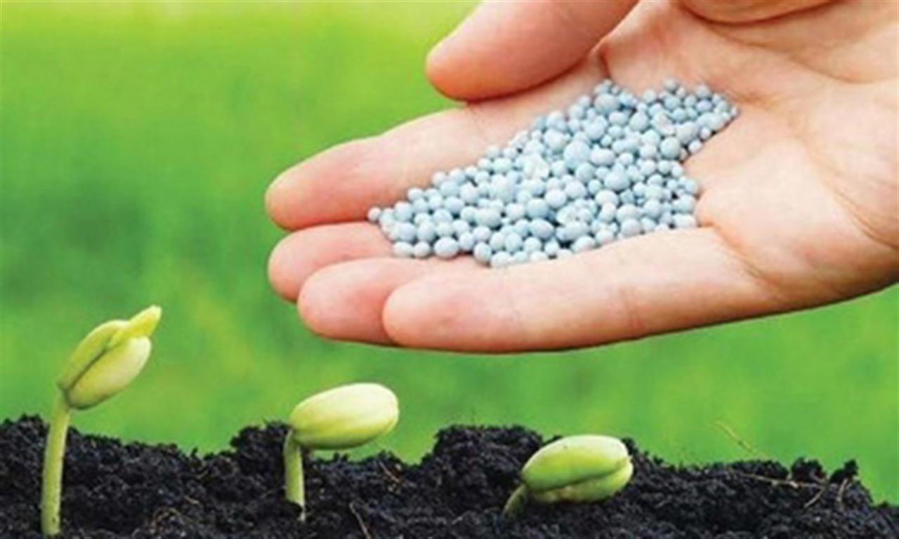 'Doanh nghiệp phân bón không mặn mà xuất khẩu, động lực tăng trưởng vẫn chưa rõ ràng'