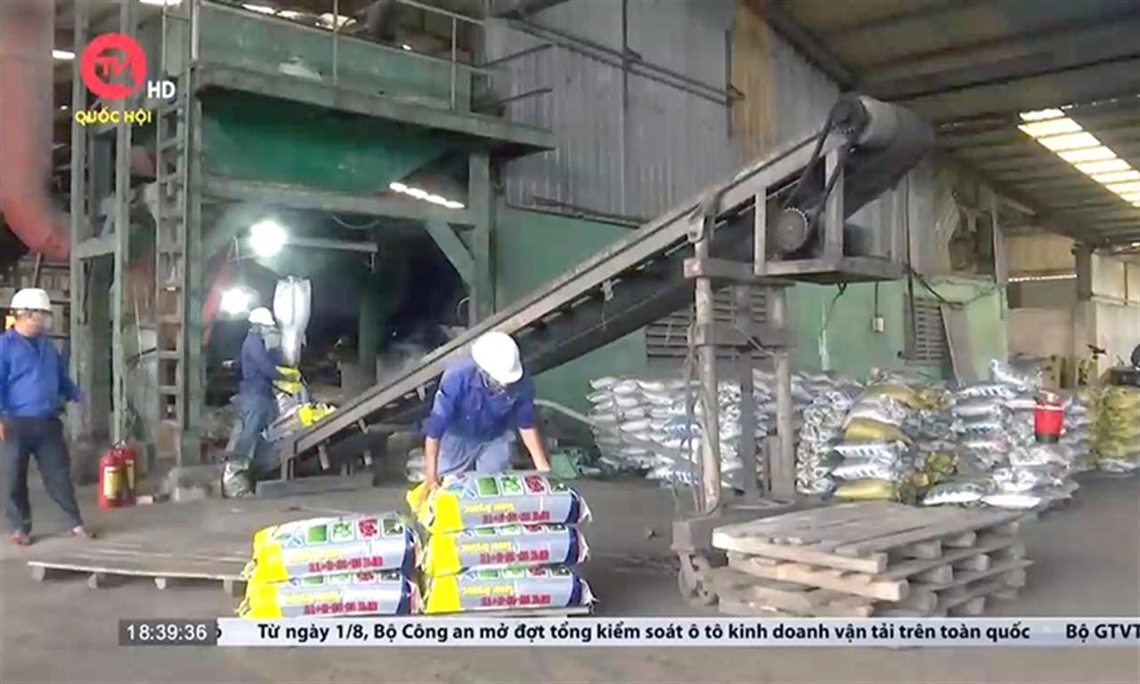 Cử tri Thừa Thiên Huế bức xúc vì giá phân bón tăng mạnh