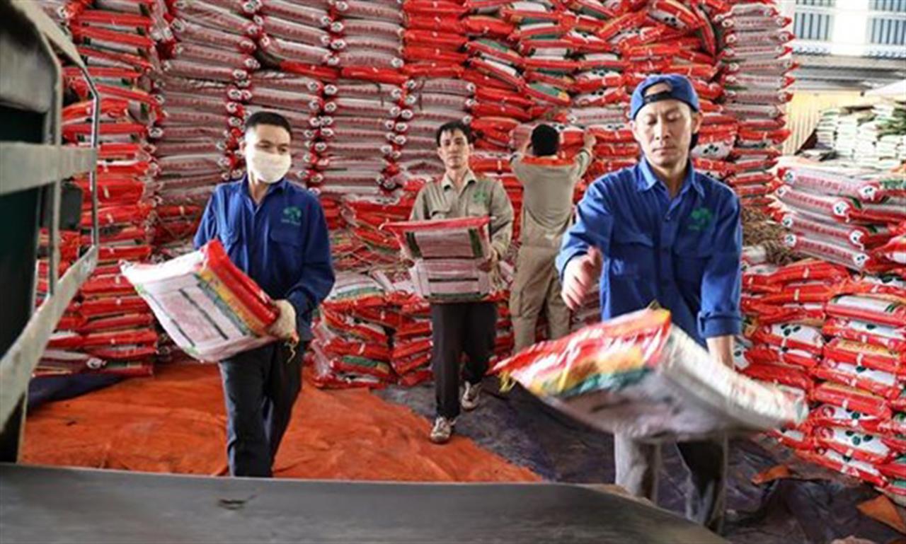 Cung vượt cầu, giá phân bón ure trong nước sẽ biến động ra sao?