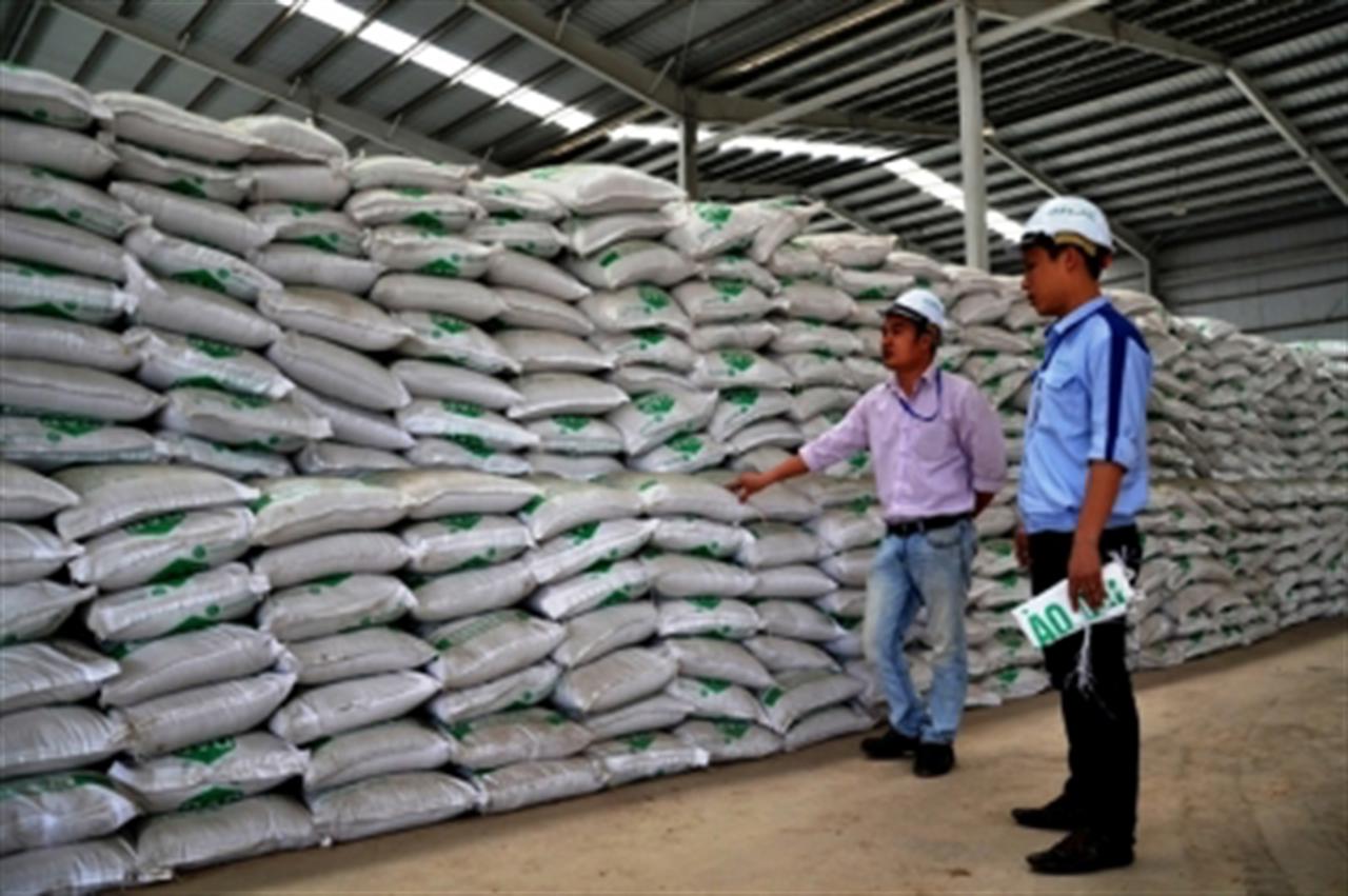 Xuất khẩu gần 30 nghìn tấn phân bón DAP Lào Cai sang Hàn Quốc