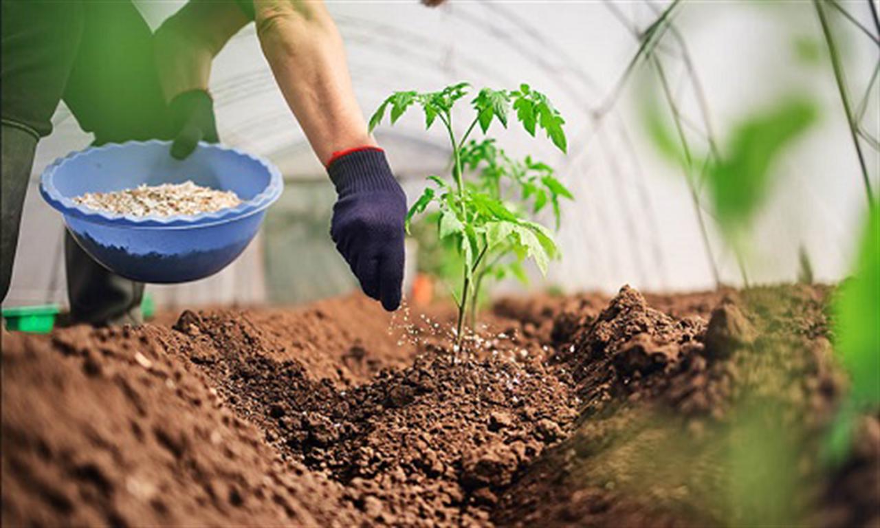 Những yếu tố rủi ro đối với nguồn cung phân bón thế giới trong năm 2023