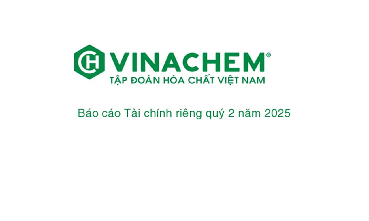 Báo cáo Tài chính riêng giữa niên độ cho kỳ kế toán từ ngày 01/01/2025 đến ngày 30/06/2025 (Đã được soát xét)