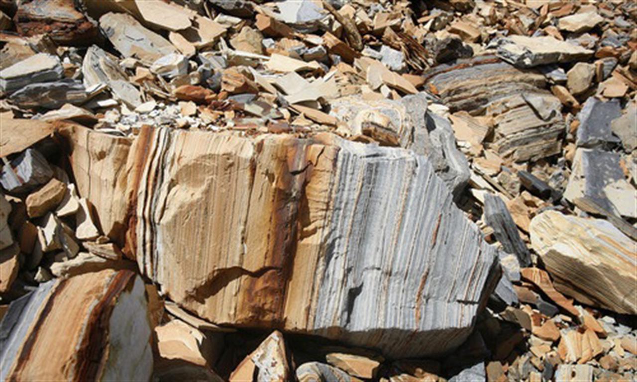 China Bans All BHP Iron-ore Cargoes Amid Pricing Dispute