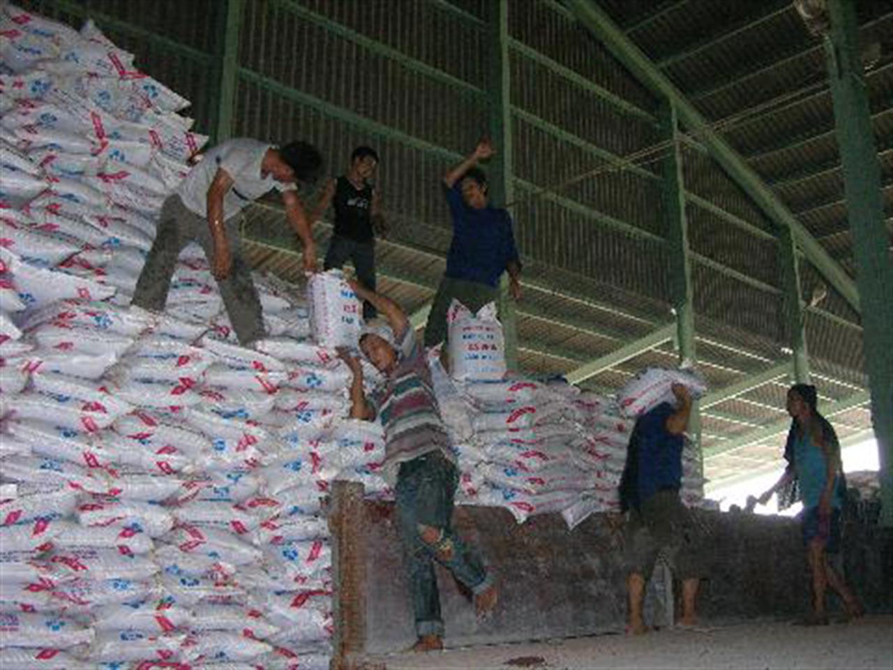 Phân bón giả đang ở mức báo động