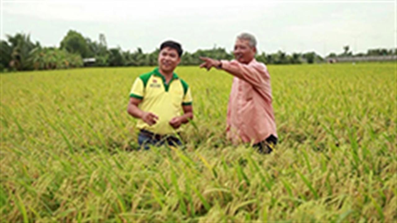 Tác động ngược của chính sách