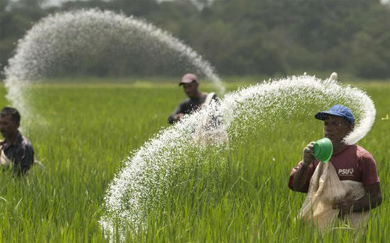 5 tháng, chi tới 400 triệu USD nhập khẩu thuốc trừ sâu