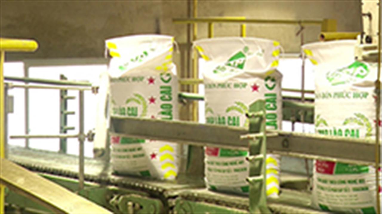 Tự vệ hợp lý doanh nghiệp được gì?