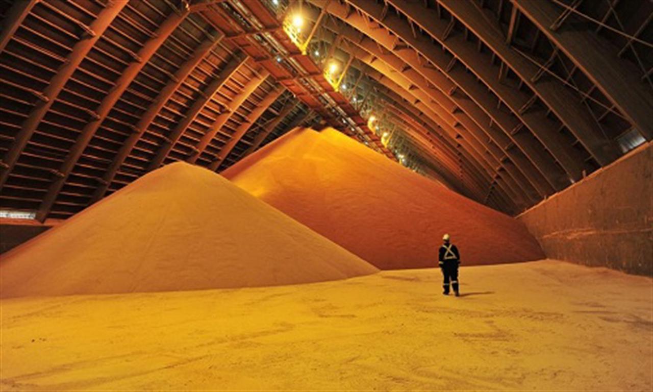 Fertilizer producer Nutrien may further slow potash expansion as sales slump