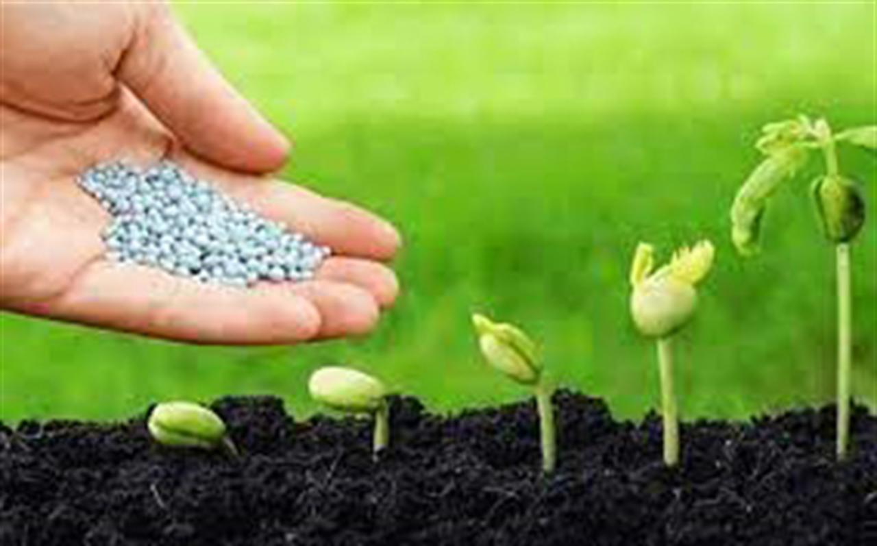 Thị trường nhập khẩu phân bón 7 tháng năm 2022