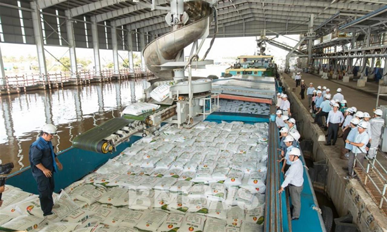 Kiến nghị sớm sửa Luật Thuế 71 gỡ khó cho doanh nghiệp phân bón