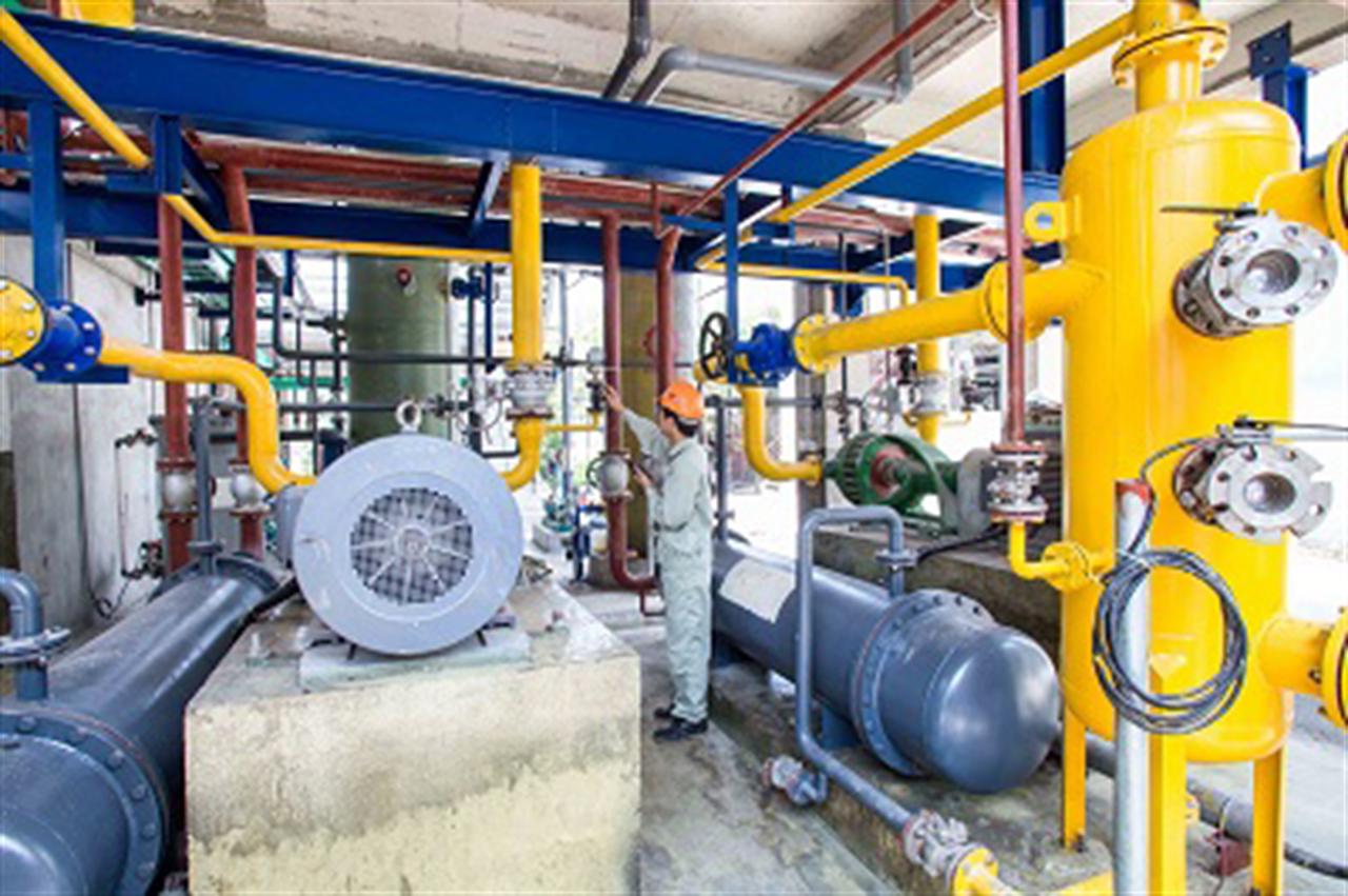 Vietnam’s economy showing signs of recovery: IMF official