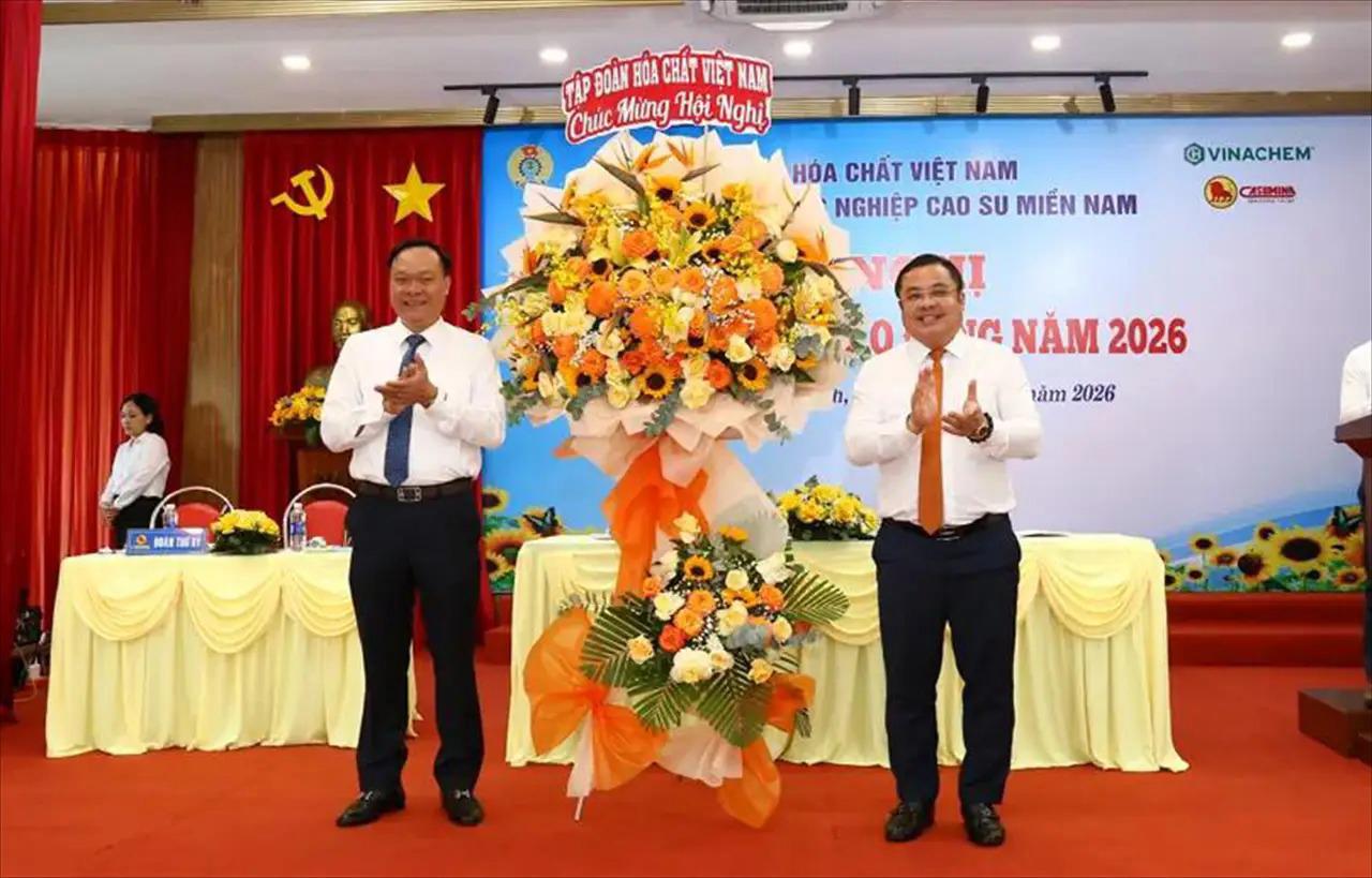 Casumina promotes grassroots democracy to improve production and business efficiency