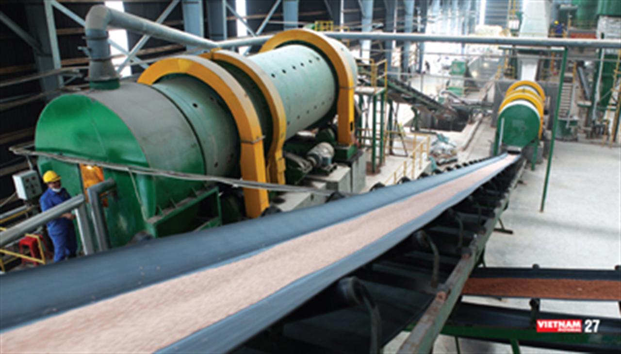 Chiến lược của Phong “Đầu Trâu”