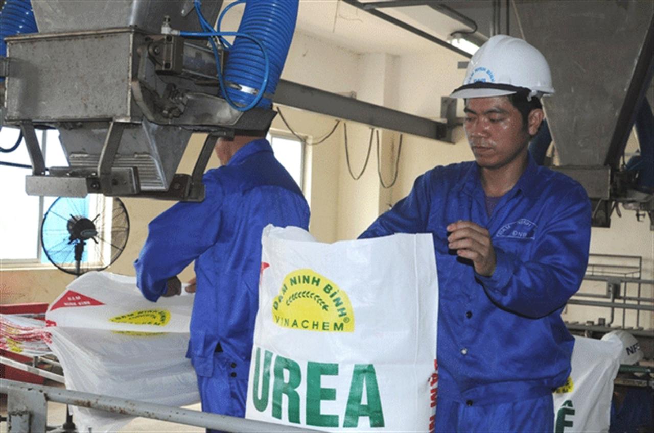 Đạm Ninh Bình hòa nhập thị trường