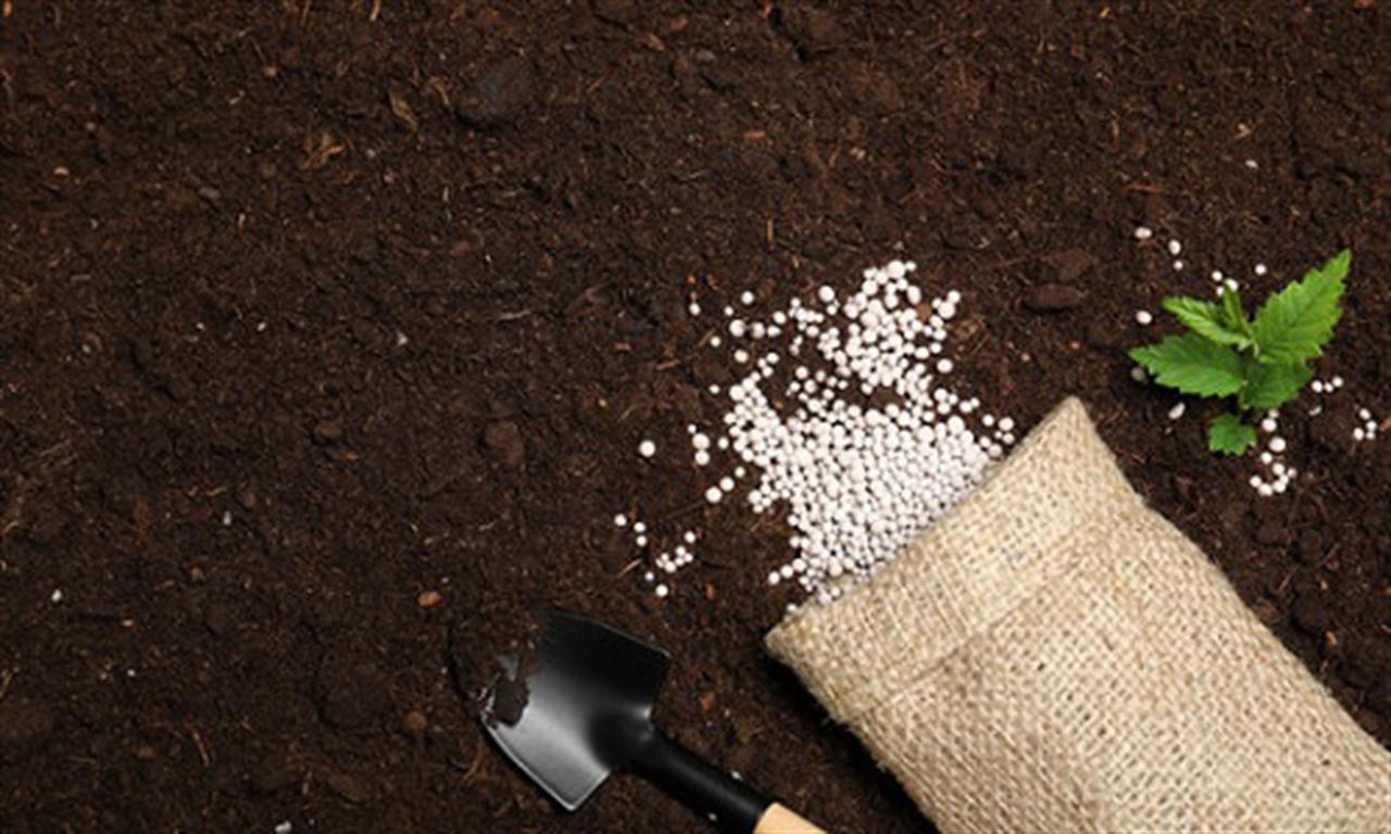 Predicts more stable fertilizer markets for 2023