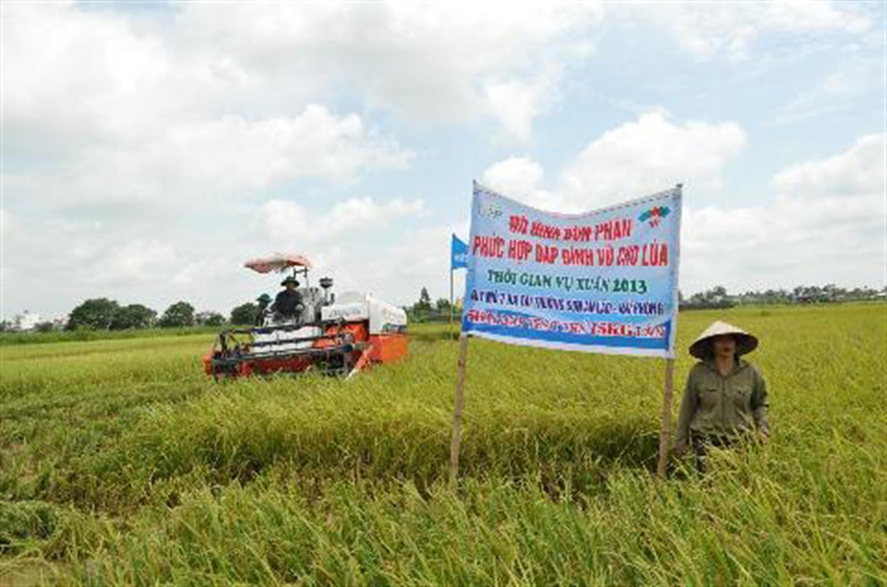 DAP Đình Vũ trên quê hương Hải Phòng