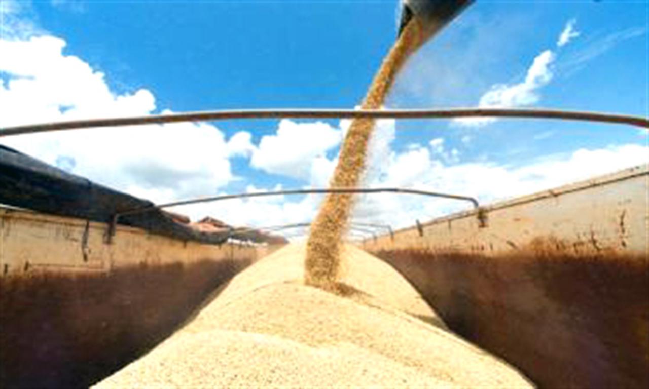 Tăng 16%, giá phân bón tại Mỹ lập kỷ lục mới