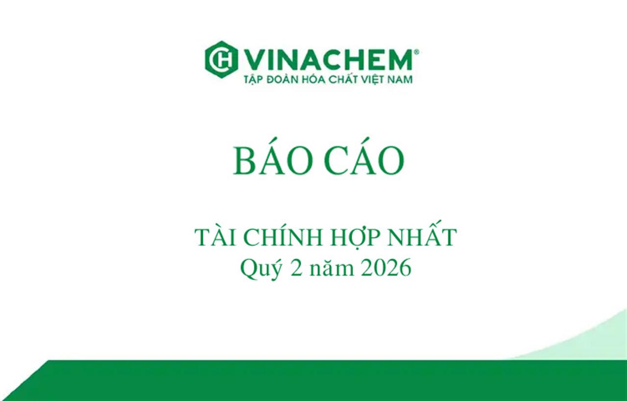 Báo cáo tài chính hợp nhất quý 2 năm 2026