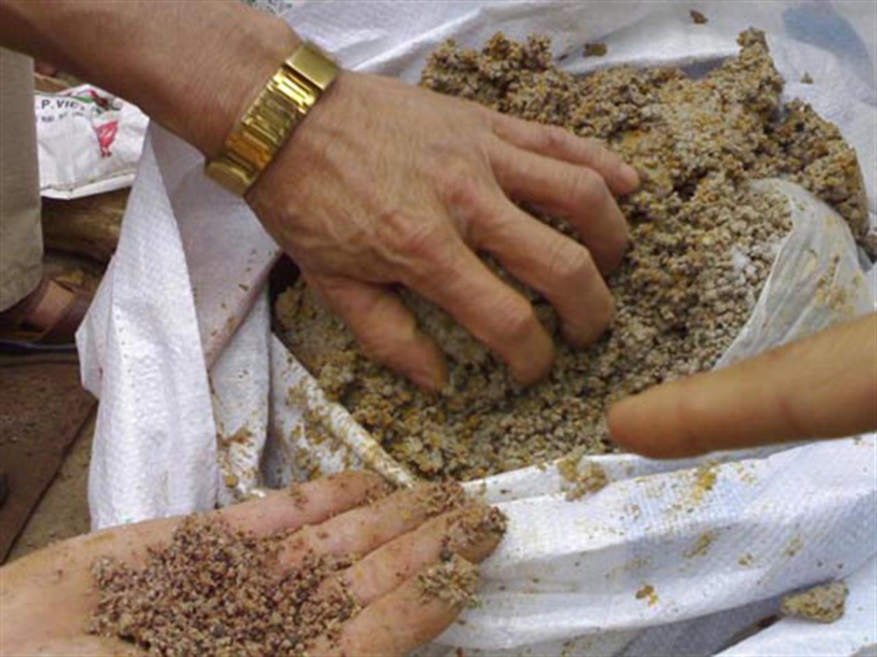 Kiểm tra các cơ sở sản xuất phân bón giả