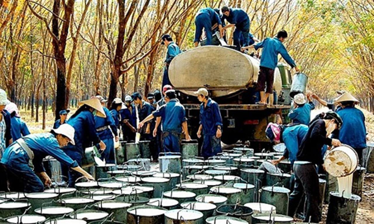 Việt Nam is South Korea's 4th largest rubber supplier