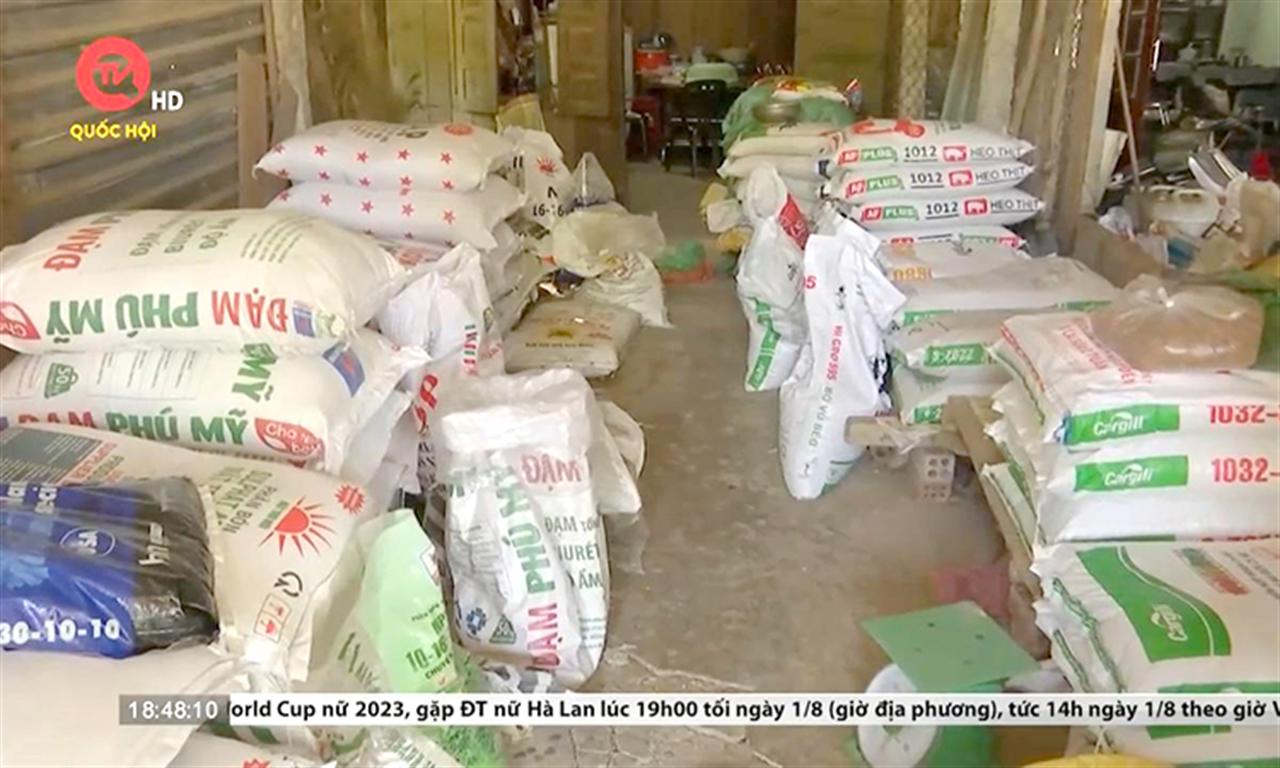 Quảng Nam: Nông dân chỉ “cầu hòa” vì giá phân bón tăng cao