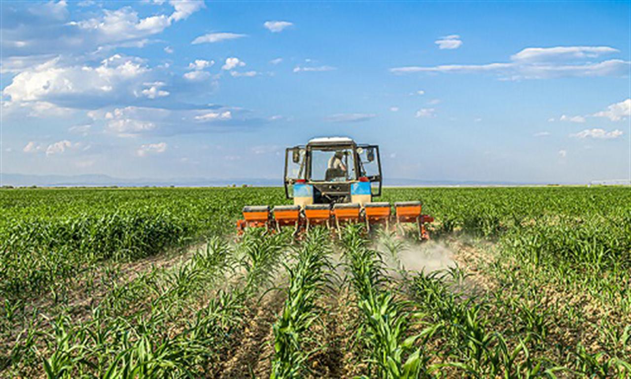 Farm profits threatened by soaring fertiliser prices