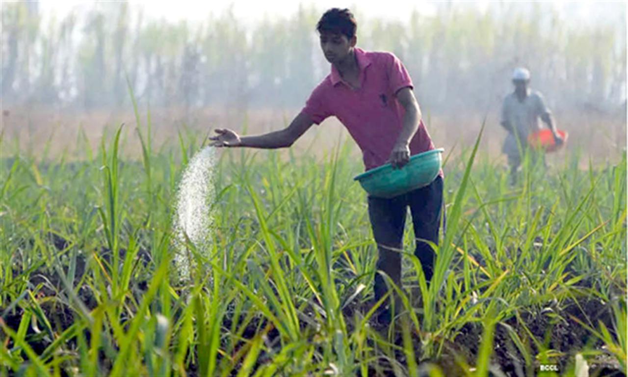 Giá phân bón thế giới dự kiến sẽ còn tăng cao trong thời gian dài