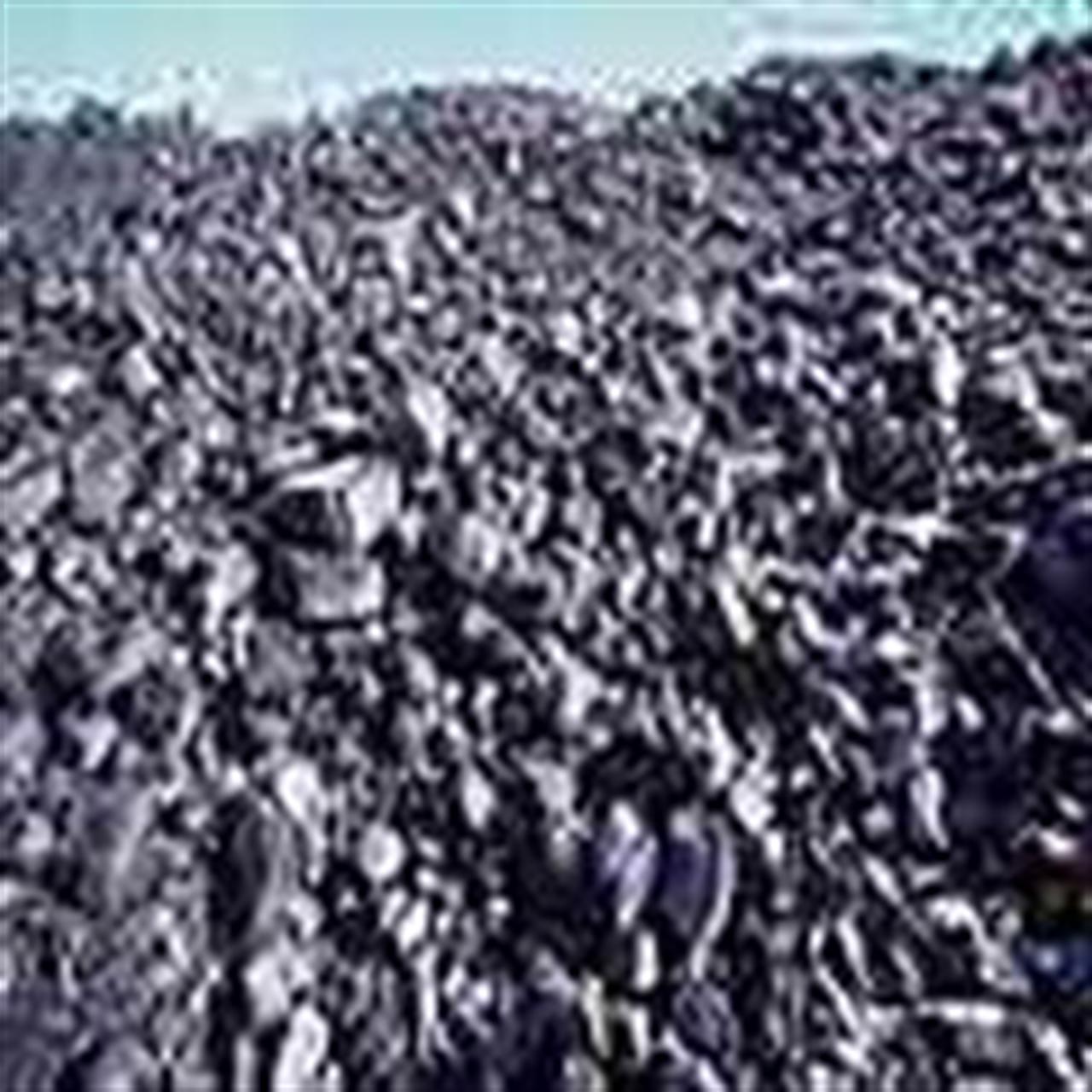 More floods push coal price to one year high