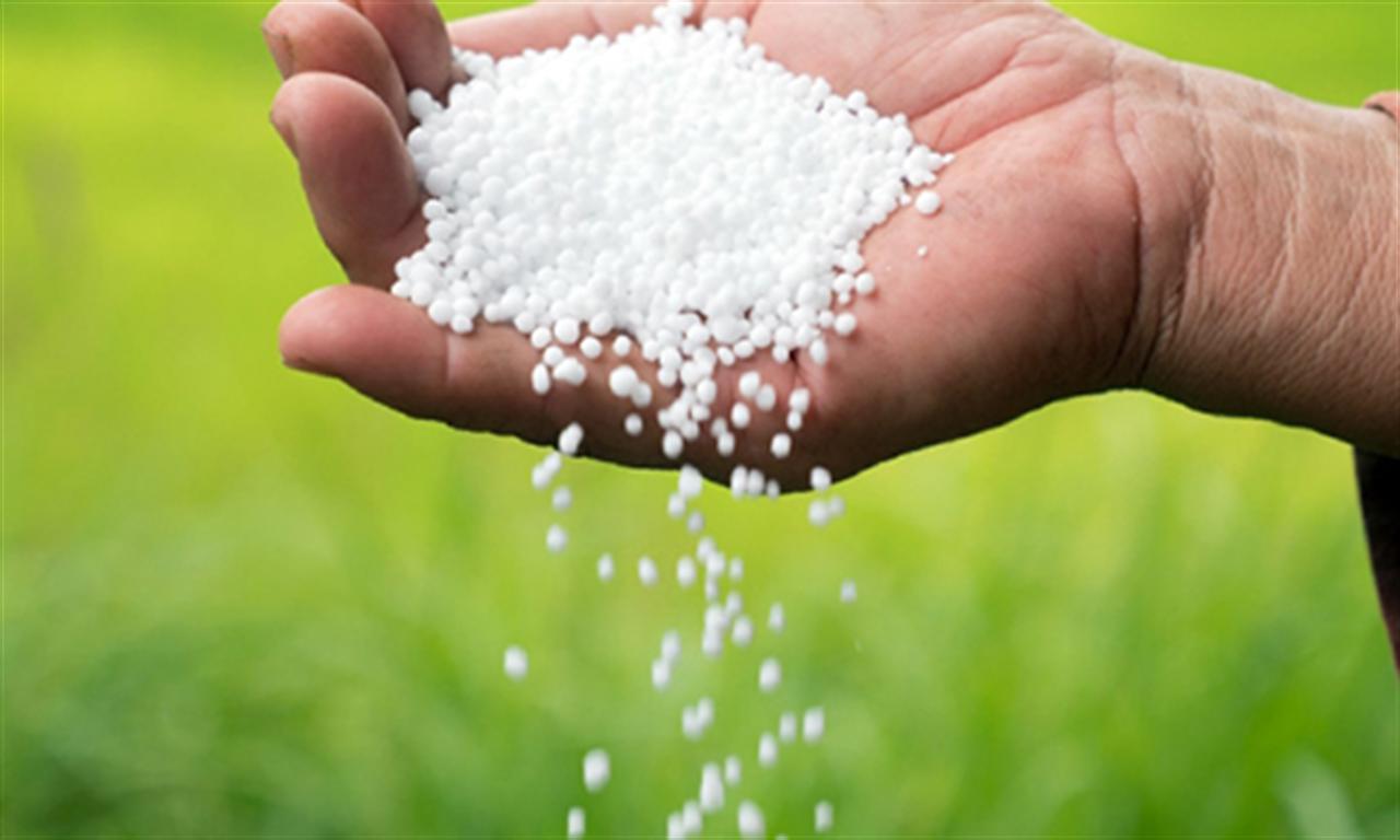 Giá ure tiếp tục lập kỷ lục mới, tăng hơn 150% so với cùng kỳ 2020