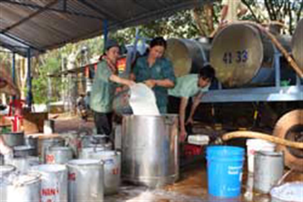 Rubber sector puts future in focus