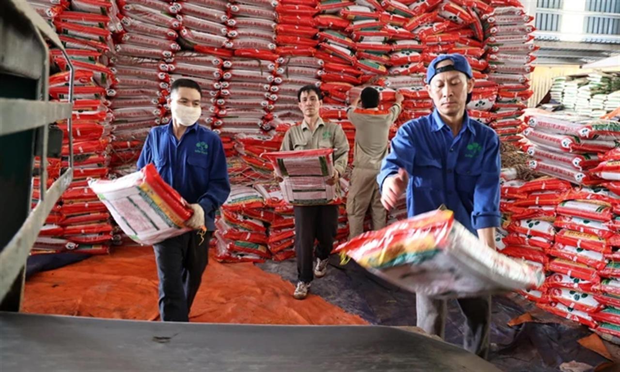 Giá phân bón trong nước liệu có biến động tương quan với giá phân bón thế giới?