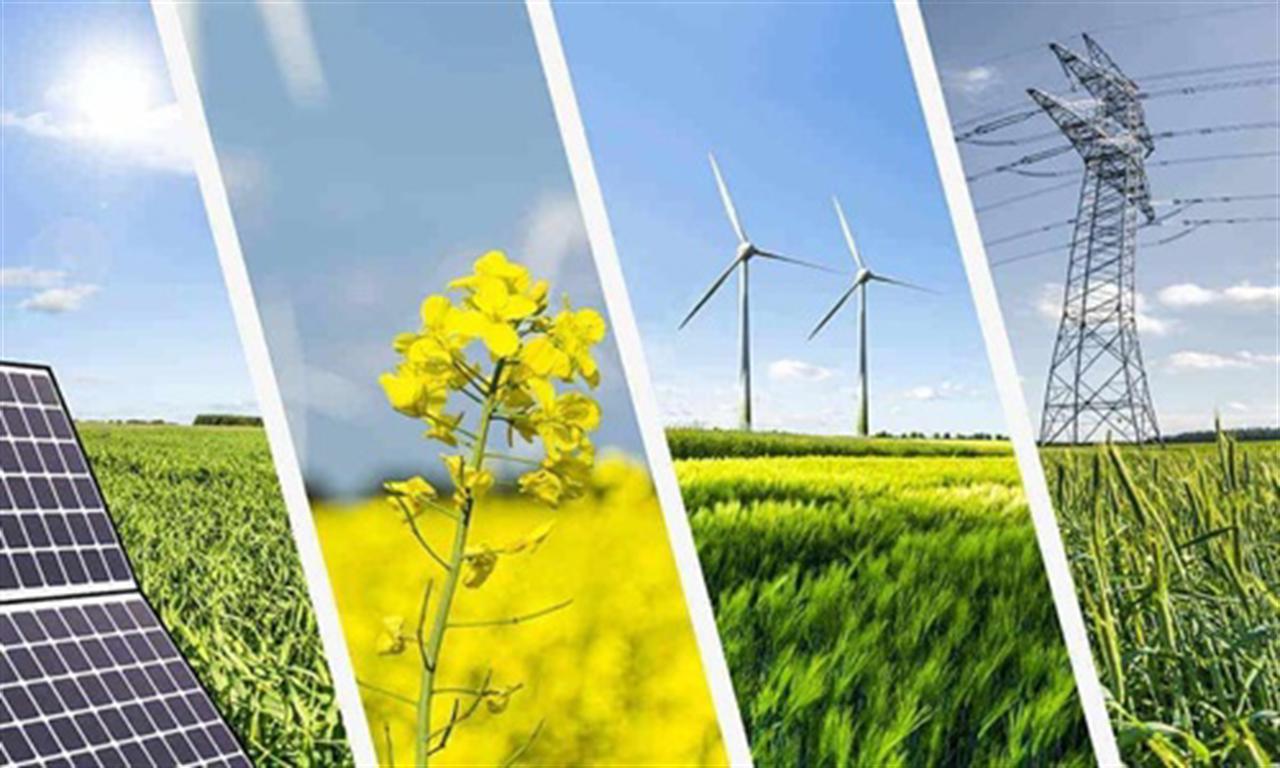Green transition – an inevitable trend for small and medium sized enterprises