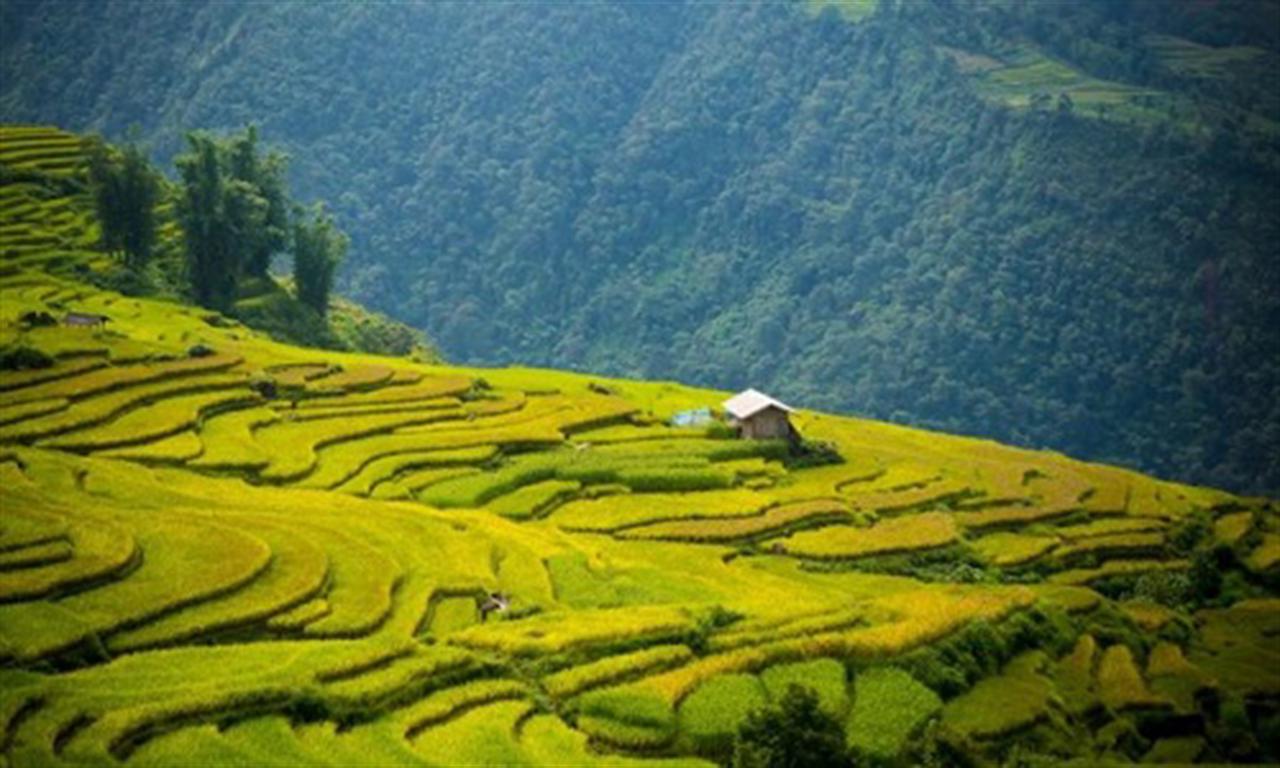 Vietnam targets ecological, sustainable agriculture