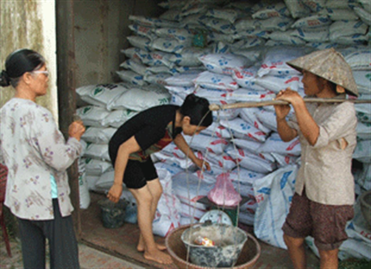 Giá phân bón trong nước trong tháng 2 và 3 sẽ chững lại