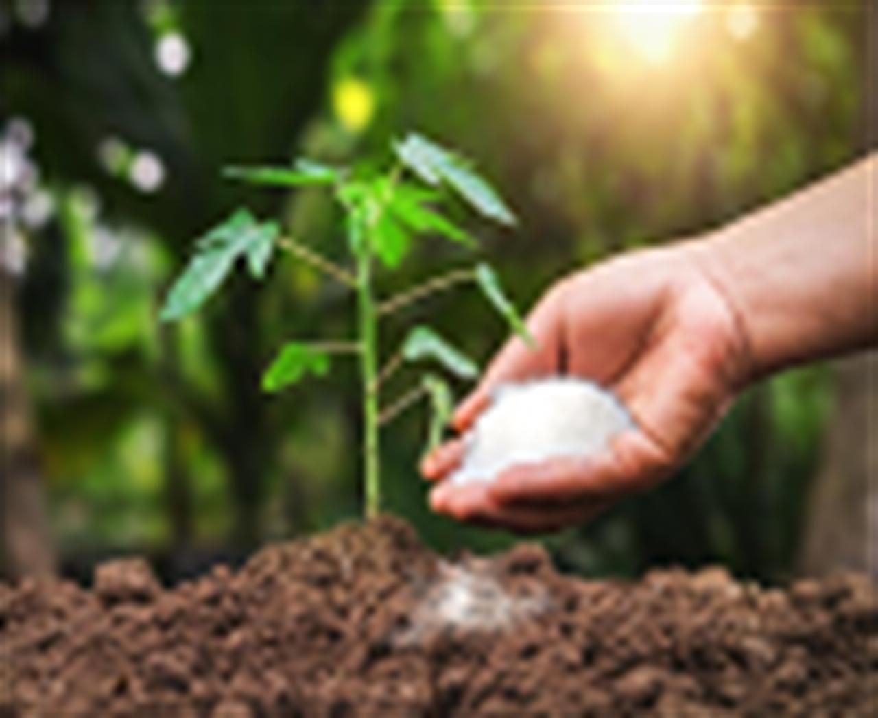 Thị trường phân bón thế giới -Triển vọng nhu cầu trung hạn 2020-2024