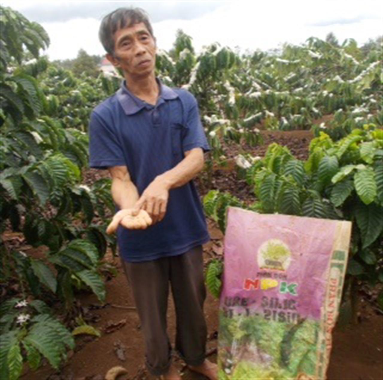 Ai chịu trách nhiệm phân bón kém chất lượng khiến nông dân điêu đứng?