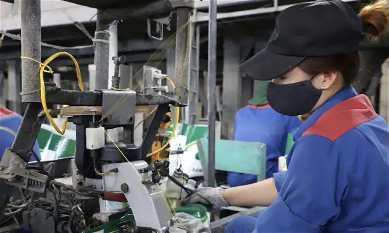 AMRO raises 2025 economic growth forecast for Vietnam to 7%