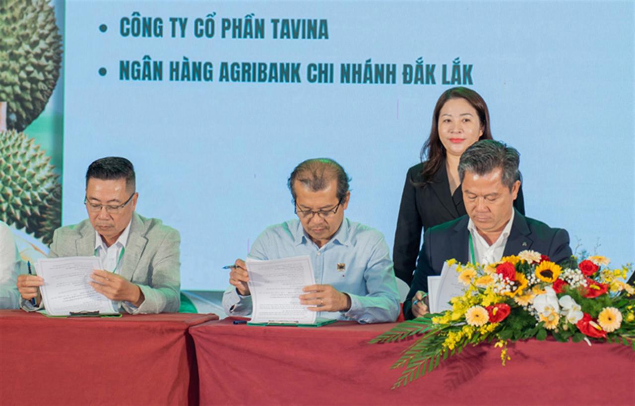 Bình Điền – Nhà tài trợ chính Diễn đàn “Hệ sinh thái sầu riêng bền vững”